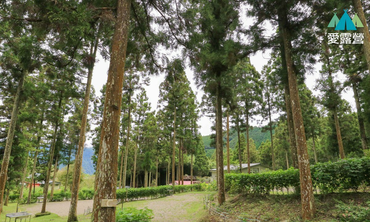 尤巴士露營區