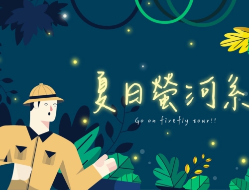 螢光閃閃 – 螢火蟲營地私房推薦