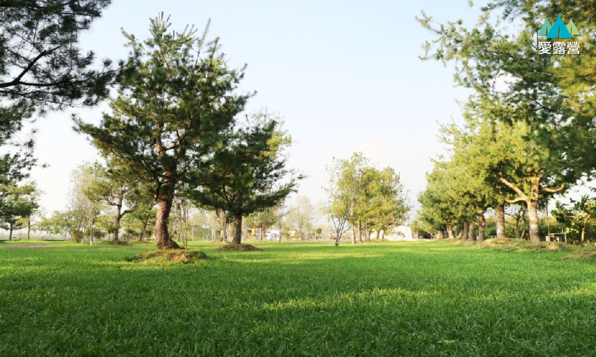 綠野森林