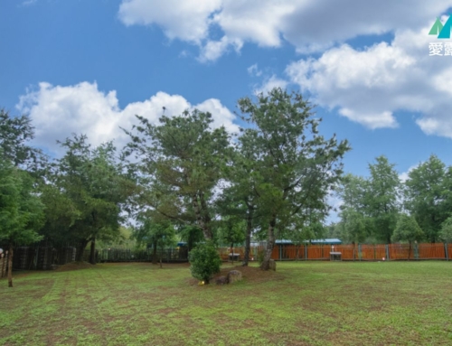 南投埔里｜森露其境