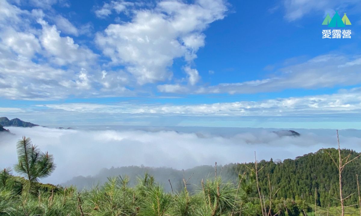 雲境松林