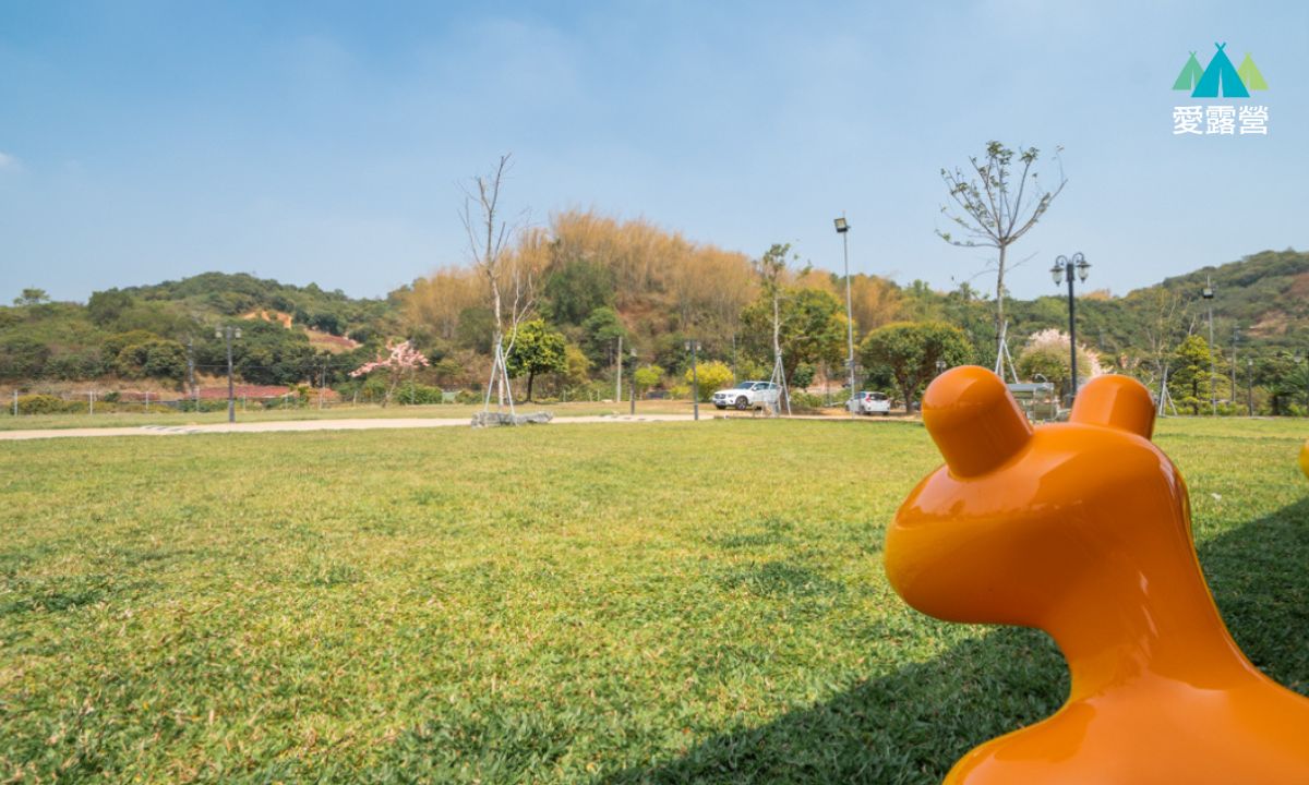 小樹點