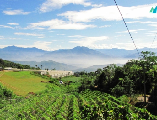 南投國姓｜高峰農場
