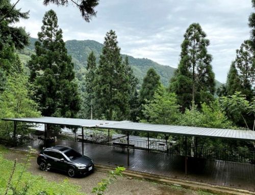 露後感｜新竹 巴棍杉林