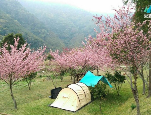 桃園復興｜比固花園