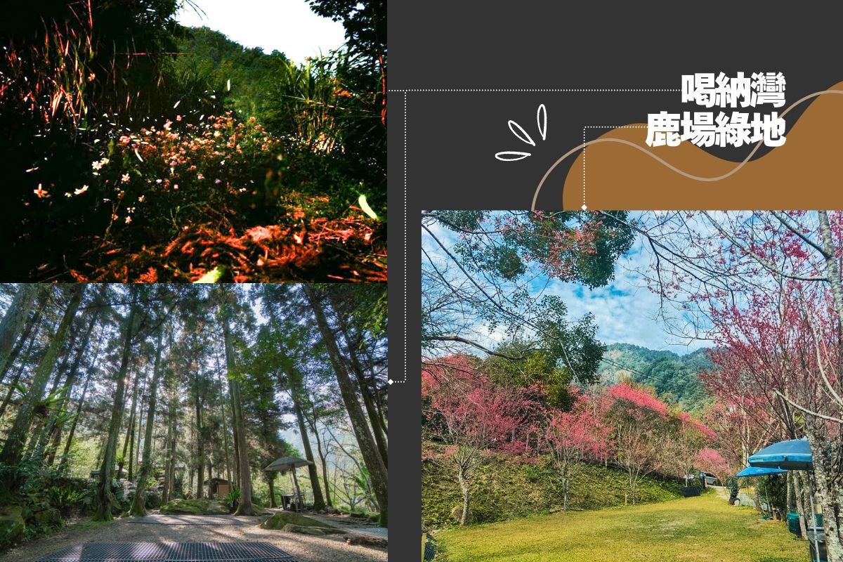 苗栗南庄露營區