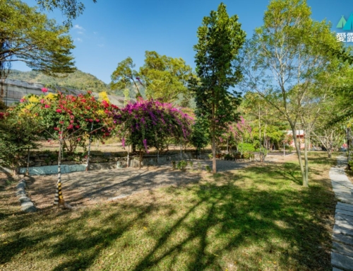 走！出發苗栗神級雲海大景絕美露營區