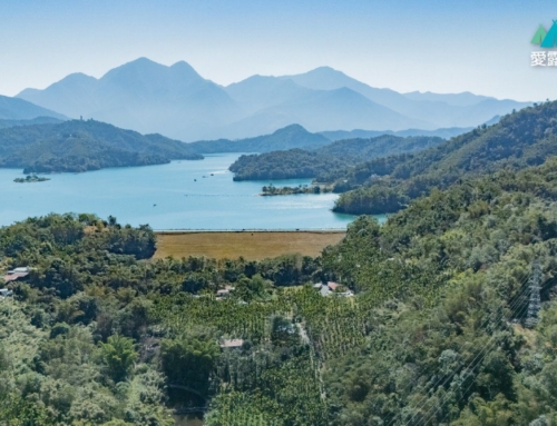 南投魚池｜九蛙