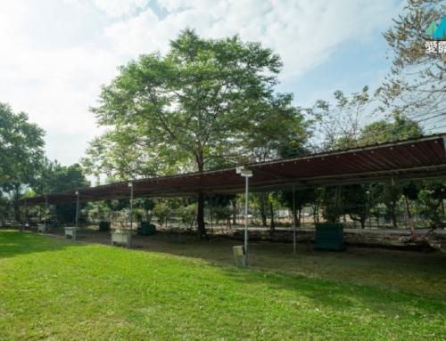 高雄六龜｜旺星人農場