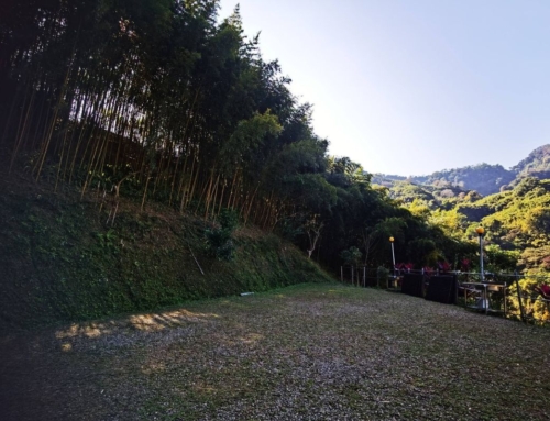 露後感｜苗栗 迎客山