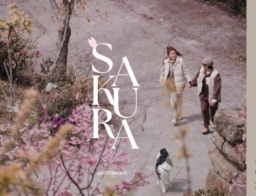 SAKURA CAMP！與櫻花雙向奔赴：苗栗露營區Top10.