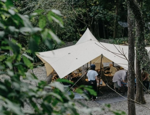 露後感｜新北 十分自然