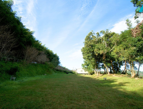高雄桃源｜阿爾山
