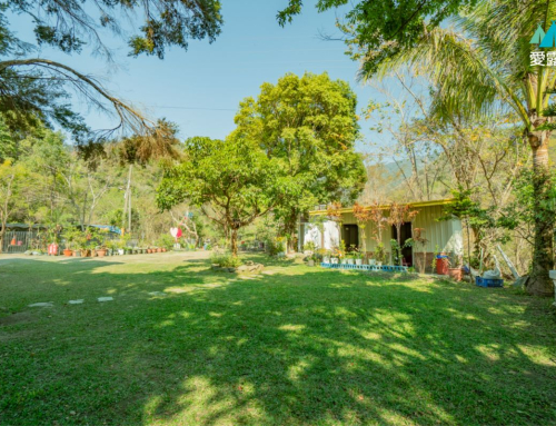 高雄桃源｜桃源溪