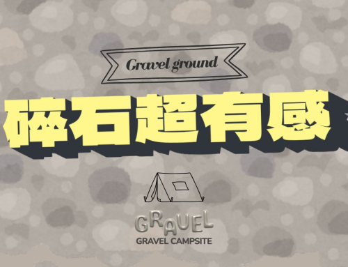 永遠的營位頭號種子＿有請碎石Top.10登場！
