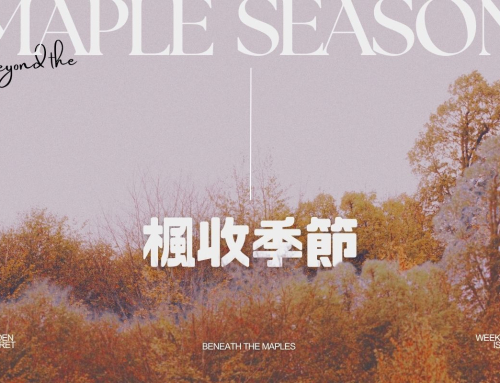 秋日楓收！賞楓不用趕，紮營這十家露營區慢慢看。